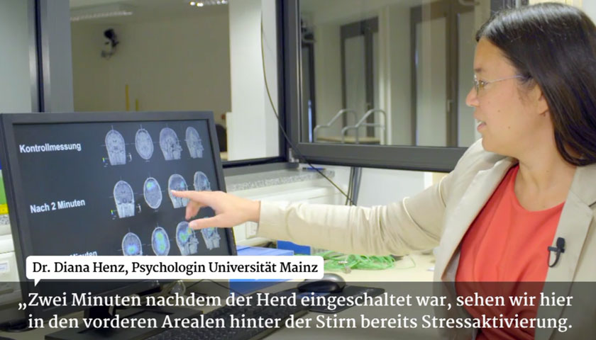 Eine Ärztin zeigt MRI-Aufnahmen eines durch Strahlen belasteten Gehirns.