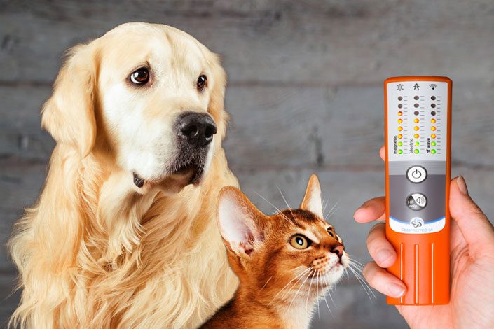 Eine Person hält einem Hund und einer Katze ein Hochleistungs-Elektrosmog-Messgerät Cemprotec 34 entgegen.
